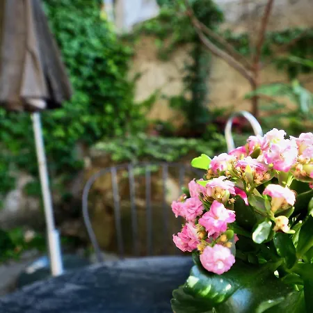 Comoda Casa Paleocapa Con Giardino